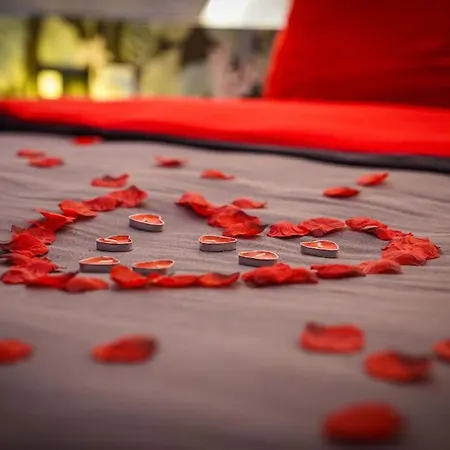 Prive Avec Jacuzzi De Gamme ! Pres De L'aeroport De